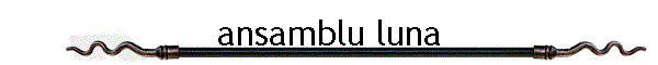 ansamblu luna