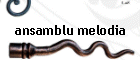 ansamblu melodia