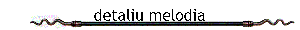 detaliu melodia