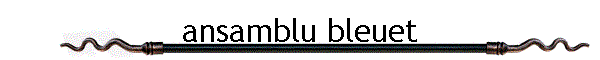ansamblu bleuet