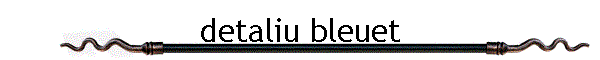 detaliu bleuet