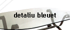 detaliu bleuet