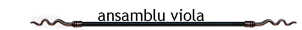 ansamblu viola